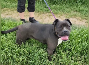 Bonnie, geboren 01.01.2023, 57cm sucht ihr Zuhause