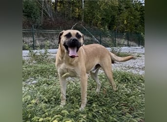 Murphy ein besonders lieber Engel