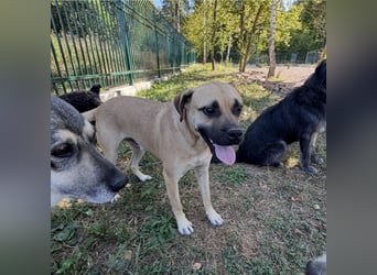 Murphy ein besonders lieber Engel