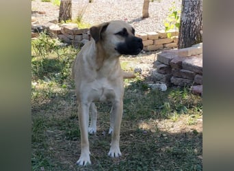 Murphy ein besonders lieber Engel