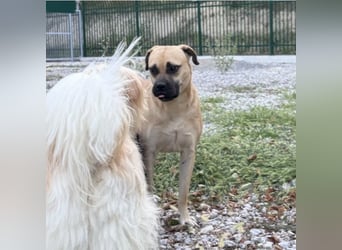 Murphy ein besonders lieber Engel