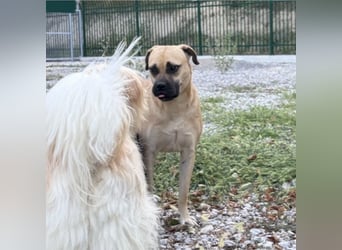 Murphy ein besonders lieber Engel