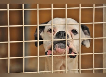 Zeigst du Boh, dass das Warten ein Ende hat?