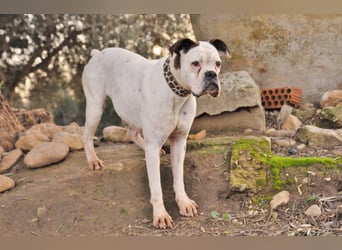 Zeigst du Boh, dass das Warten ein Ende hat?