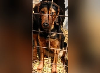 Hermine, wünscht sich eine liebe Familie
