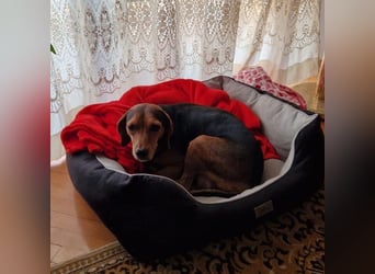 Marta sucht ihre Für-Immer-Familie❤️