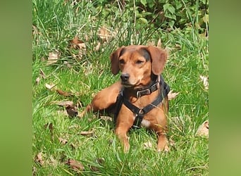 Marta sucht ihre Für-Immer-Familie❤️