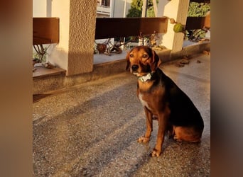 Marta sucht ihre Für-Immer-Familie❤️