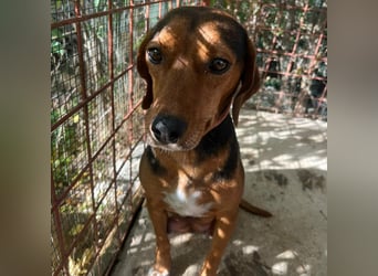 Marta sucht ihre Für-Immer-Familie❤️