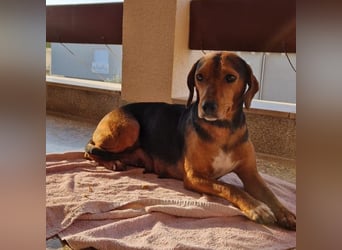 Marta sucht ihre Für-Immer-Familie❤️