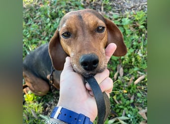 Marta sucht ihre Für-Immer-Familie❤️