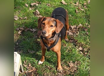 Marta sucht ihre Für-Immer-Familie❤️