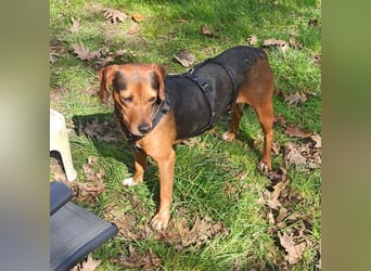 Marta sucht ihre Für-Immer-Familie❤️