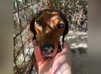 Marta sucht ihre Für-Immer-Familie❤️