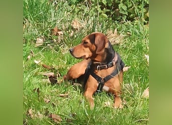 Marta sucht ihre Für-Immer-Familie❤️