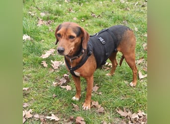 Marta sucht ihre Für-Immer-Familie❤️