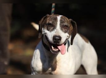 Die freundliche Lucy  sucht ihr endgültiges  Körbchen