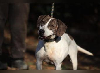 Die freundliche Lucy  sucht ihr endgültiges  Körbchen
