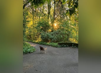 Alva sucht neuen Wirkungskreis