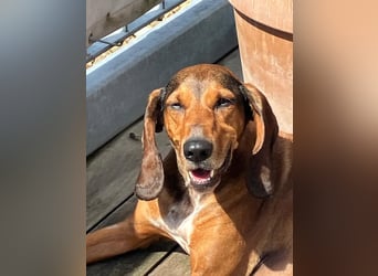 Alva sucht neuen Wirkungskreis