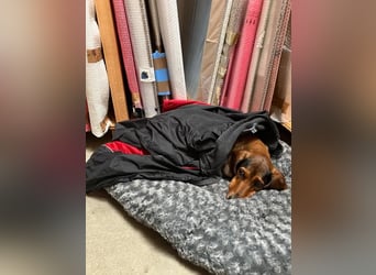 Alva sucht neuen Wirkungskreis