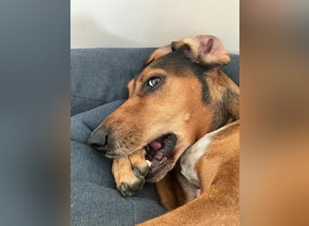 Alva sucht neuen Wirkungskreis