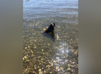 Alva such neuen Wirkungskreis