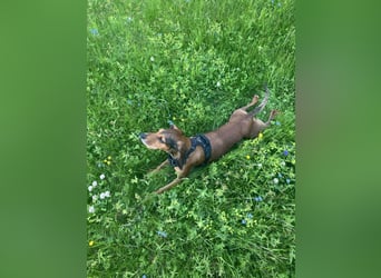 Alva such neuen Wirkungskreis