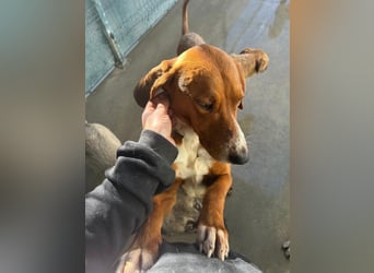 Liebenswerter ŠIME sucht perfect match ❤️