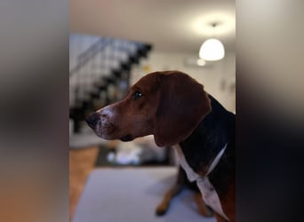 Liebenswerter ŠIME sucht perfect match ❤️