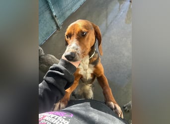 Liebenswerter ŠIME sucht perfect match ❤️