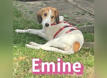Emine, 03/26 - aufgewecktes Mädel wartet in 40723 Hilden