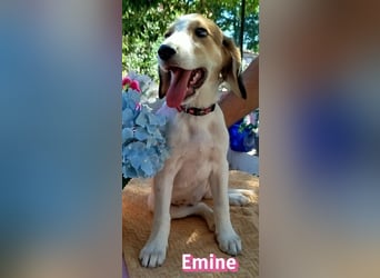 Emine, 03/26 - aufgewecktes Mädel sucht Familie