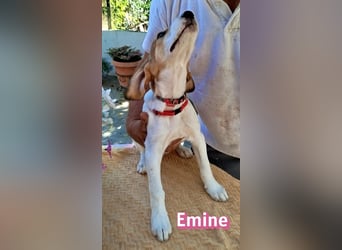 Emine, 03/26 - aufgewecktes Mädel sucht Familie