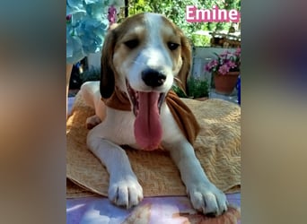 Emine, 03/26 - aufgewecktes Mädel sucht Familie