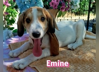 Emine, 03/26 - aufgewecktes Mädel sucht Familie