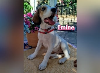 Emine, 03/26 - aufgewecktes Mädel sucht Familie