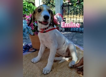 Emine, 03/26 - aufgewecktes Mädel sucht Familie
