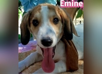 Emine, 03/26 - aufgewecktes Mädel sucht Familie