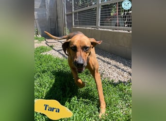Tara SI, freundlich und aufgeschlossen