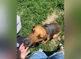 Tara SI, freundlich und aufgeschlossen