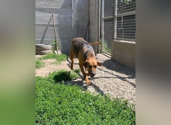 Tara SI, freundlich und aufgeschlossen