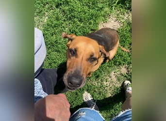 Tara SI, freundlich und aufgeschlossen