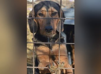 Hermine, wünscht sich eine liebe Familie