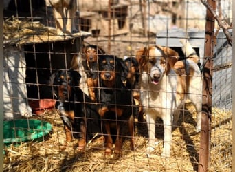 Marie, sucht Liebe und Geborgenheit