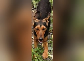 Hermine, wünscht sich eine liebe Familie