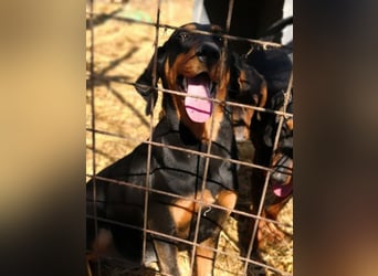 Marie, sucht Liebe und Geborgenheit