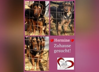 Hermine, wünscht sich eine liebe Familie