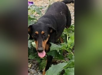 Bine, wer hat mich lieb ?