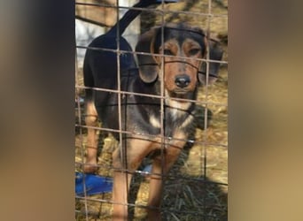 Hermine, wünscht sich eine liebe Familie